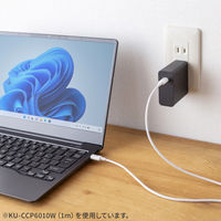 サンワサプライ  USB 2.0 Type-Cケーブル（PD60Ｗ・0.5m・ホワイト） KU-CCP6005W（直送品）