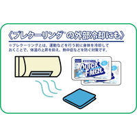 サンケイ商事 常備設置用クイックフリーズミニ（HE）1箱（30個入）