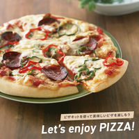 武田コーポレーション ピザ窯キット4点セット PZKT-4S 1個