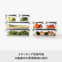 吉川国工業所 調理ができる保存容器　Ｍ（3個組） ＦＣー031_Ｃｒ 1セット