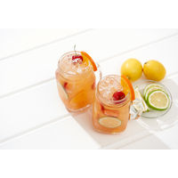 ライクイット 製氷皿 クラッシュアイス 俺のクラッシュアイスメーカー ブラック STK-07 日本製 1個