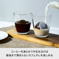 ライクイット 製氷皿 俺の丸氷 アイスボールメーカー ホワイト STK-06 日本製 1個