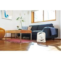 アピックスインターナショナル アピックス 2電源スリムファン AFSー125 AFS-125(WH) 1台