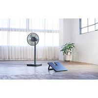 アピックスインターナショナル アピックス ソーラーパワーリビングファン AEFー900R AEF-900R(GY) 1台