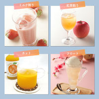 國盛 フルリア ぶどうのお酒 果汁80％ 720ml 1本 リキュール