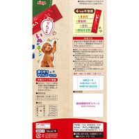 いぬがキュン りんご味 無添加 国産 50g（10g×5本）1セット（1袋×3）アイシア 犬用 おやつ