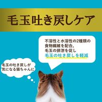 i CARE（アイケア）毛玉吐き戻しケア まぐろペースト 国産 35g 1セット（1袋×12）アイシア キャットフード