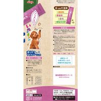 いぬがキュン さつまいも味 無添加 国産 50g（10g×5本）1セット（1袋×10）アイシア 犬用 おやつ