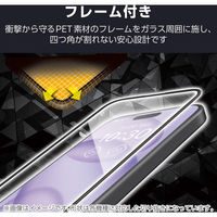 G253 ガラスフィルム 高透明 ブルーライトカット フルカバー フレーム付 ブラック PM-G253FLGFBL エレコム 1個（直送品）