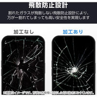 G253 ガラスフィルム 高透明 ブルーライトカット PM-G253FLGGBL エレコム 1個（直送品）