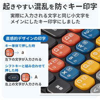 KEY PALETTO Folio 交換用キーボード TK-KP13UMBKK エレコム 1個（直送品）