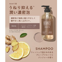 BOTANIST（ボタニスト）　ルース　エイジングケア　ボタニカルシャンプー　ストレート（詰替）２個セット　各400ml I-ne