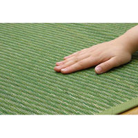 イケヒコ DXクルー 花ござ 本間6畳 3820×2865mm グリーン 1030270121302 1枚（直送品）