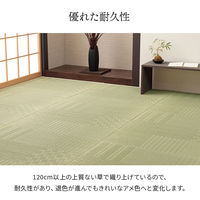 イケヒコ 市松紋 花ござ 2550×2550mm 1031360011902 1枚（直送品）