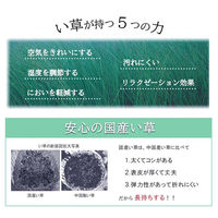 イケヒコ サークル い草ラグ 2500×1910mm ネイビー 1050530193904 1枚（直送品）