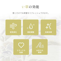 イケヒコ エクセレント い草ラグ 2500×1910mm 1060210014303 1枚（直送品）