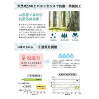 イケヒコ ラスタ（撥水） い草ボリュームラグ 3000×1900mm ブラウン 1071390065016 1枚（直送品）