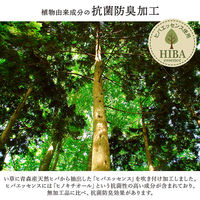 イケヒコ 大自然 花ござ 江戸間4.5畳 2610×2610mm 草原 1080330120502 1枚（直送品）