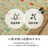 イケヒコ 小夏 い草カーペット 江戸間6畳 3520×2610mm ブルー 1082090040602 1枚（直送品）