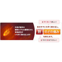 コルゲンコーワ IB透明カプセルαプラス 30カプセル 興和 総合かぜ薬 発熱 のどの痛み【指定第2類医薬品】