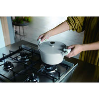 シービージャパン 両手鍋 20cm IH対応 copan 軽量無水調理鍋 グレー 452364 1個（直送品）