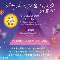 ニュービーズ ジャスミン＆ムスクの香り 詰め替え 超特大 1560g 1個 衣料用洗剤 花王