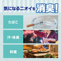 衣類のシワ伸ばしミスト シワトル 無香料 300mL 1セット（1本×5） 白元アース