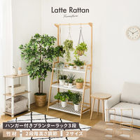 武田コーポレーション ハンガー付き プランターラック3段 W60 LN-E-HPR60 1箱(1個入)（直送品）