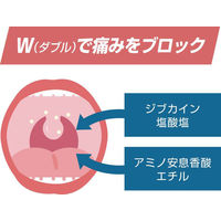 メディケア デンタルクリーム 5g 森下仁丹 軟膏タイプ 口内炎【第2類医薬品】