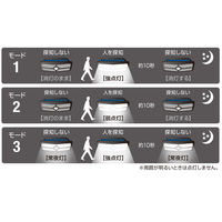 大進 人感 センサーライト ソーラーライト 屋外 防雨 LED DLS-WL010 1セット（1台×2）（直送品）