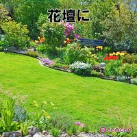 comcon ダブル超音波 猫よけ 猫除け 対策 動物 撃退器 野良猫 ソーラー CV-100 1セット（1台×2）（直送品）