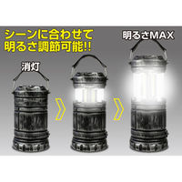DLB-004LTDS 懐中電灯にもなるLEDランタンシルバー 1セット（1台×2）（直送品）