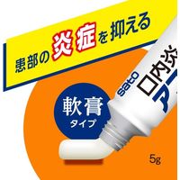 アフタガード 5g 佐藤製薬 軟膏タイプ 口内炎治療薬【指定第2類医薬品】