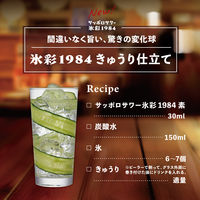 サッポロサワー 氷彩 1984 素 25度 500ml 1セット(1本×6) リキュール