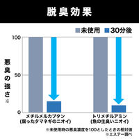 脱臭炭 ゴミ箱用 1個 エステー