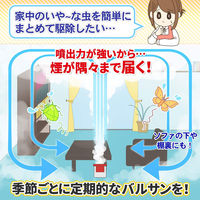 バルサン くん煙 火を使わない 水タイプ 25g 家中のいやーな虫まるごと殺虫 害虫駆除 12～16畳用 1セット（3個） レック
