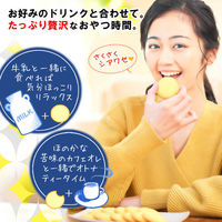 森永製菓 ミニムーンライト＋ミニチョコチップクッキー 2種アソート  1セット（8袋入×6パック）大袋 食べきり お菓子詰め合わせ