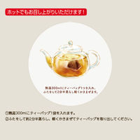 日東紅茶 水出しアイスティー アップルルイボスティー 1セット（1袋（10バッグ入）×3） ノンカフェイン