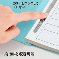 プラス 年組氏名PPフラットファイル A4タテ ユニバーサルカラー 水色 79399 1冊
