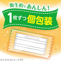 さわやかフィットマスク 子ども用 1箱（60枚入） レック 日本製 個包装 子供用