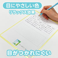 共栄プラスチック 軟質 下敷き 透明カラーのしっかりシタ字キ A4 パイン TCS-A4-PI 1セット(1枚×5)（直送品）