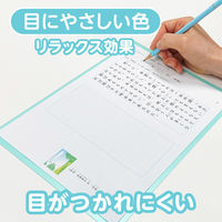 共栄プラスチック 軟質 下敷き 透明カラーのしっかりシタ字キ A4 青りんご TCS-A4-AO 1セット(1枚×5)（直送品）