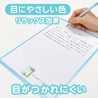 共栄プラスチック 軟質 下敷き 透明カラーのしっかりシタ字キ B5 ソーダ TCS-B5-SO 1セット(1枚×5)（直送品）