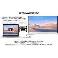 JAPANNEXT 27インチ 液晶モニター(エコパッケージ/HDMI・DP・TypeーC) JN-I27F-C65W-HSP 1台