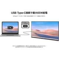 JAPANNEXT 28インチ ワイド 4K液晶ディスプレイ(IPS/DPx2/HDMIx2) JN-IPS28U 1台