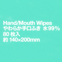 アスクルやわらか手口ふき　からだふき　ウェットタオル　手口ふき用ウェットティッシュ　1セット(80枚入×10パック) オリジナル