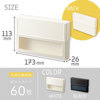 リヒトラブ リヒト Collel コンパクトストレージケース コングレスケース ファイルケース チケット A6 ホワイト A451-0 1冊（直送品）