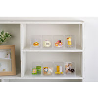 イノマタ化学 ミニチュアフードディスプレイ 3845 1個