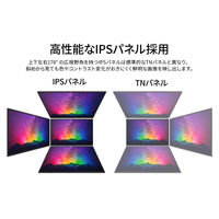 JAPANNEXT 55インチ4Kディスプレイ・スタンド(JN-3275-90JRF)セット2年保証 JN-HDR553IPS4KJRF 1セット（直送品）