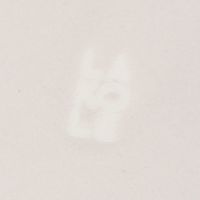 KACHO-SENスクエアボウル ホワイト LAKOLE/ラコレ